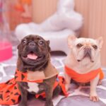 Jottapê Instagram - Yabba Dabba Doo! 🧡 #2MêsDaAthena 🫶🏼