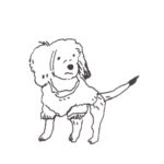 Julia Pott Instagram - New Substack on the greatest novel of all time and sequel to 101 Dalmatians - The Starlight Barking, and why no one wants to make it into a movie. Go to juliapott.substack.com to read and subscribe.