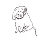 Julia Pott Instagram - New Substack on the greatest novel of all time and sequel to 101 Dalmatians - The Starlight Barking, and why no one wants to make it into a movie. Go to juliapott.substack.com to read and subscribe.