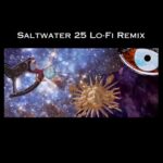 Julian Lennon Instagram - The new Lo-Fi mix of “Saltwater 25” is out now on My Official YouTube channel. Link to full track in bio. Directed by Layla Atkinson and Jock Mooney #saltwater25 #saltwater25lofi #lofimix #julianlennon #timellis