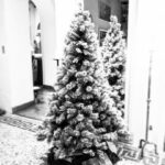 Julian Lennon Instagram - A bittersweet weekend, taking down the Christmas tree & lights, for quite possibly, the last time ever, in this old 18th Century Summer House… I’ve had many happy years here, many sad ones too… But after 20+ years, it’s time for a change. Time for a new adventure, a new project and something that will inspire me to be even more creative than I’ve been over the last 8 years, since Mum passed away. This house holds so many memories. It’s a special place, and it will be special for someone else too… There is a lot of love here… Her heart beats strongly ♥️🙏🏻😘 I will miss you…. 🙏🏻 x