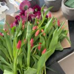 Julianna Margulies Instagram - I know, I start my table setting early because there’s so much to do with all the food, but my favorite part is setting the table and making it different every year. I went to our local flower shop to make my arrangements and they didn’t have a lot to choose from so I went with what they had. Also…. Chocolate turkeys by every plate is a staple. Happy pre thanksgiving!
