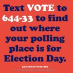 Julianna Margulies Instagram - The most important thing you can do right now is VOTE!