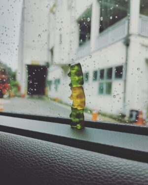Jung Ji-so Instagram - 사과맛곰젤리오렌지맛곰젤리사과맛곰젤리