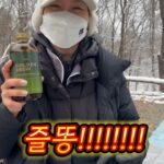 Jung Kyoung-mi Instagram - 화장실 갈때마다 힘드신가요?😅 (나 지금 광고 시작합니다 ㅎㅎㅎ) 골든브루 콤부차는 살아있는 유산균입니다! 콤부차 안에 스코비가 있어요👍🏻 먹다가 놔두면 또 스코비가 자랍니다! 평소 소화 힘들거나 변비 있는 분들 강추!!!! 📍하루에 한잔에서 두잔 드셔보세요! 📍물에 안타고 그냥 드시면 됩니다! 오늘도 즐💩 @haengqueen @chelmiday 🌈구매는 프로필 링크 타고