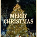 Kamala Harris Instagram - Christmas is a time to come together with our loved ones and celebrate our favorite traditions. From our family to yours, we wish you a merry Christmas!