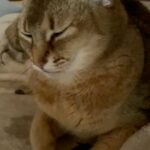 Kang Daniel Instagram - 행복한주말 고양시
