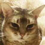 Kang Daniel Instagram - Take a look