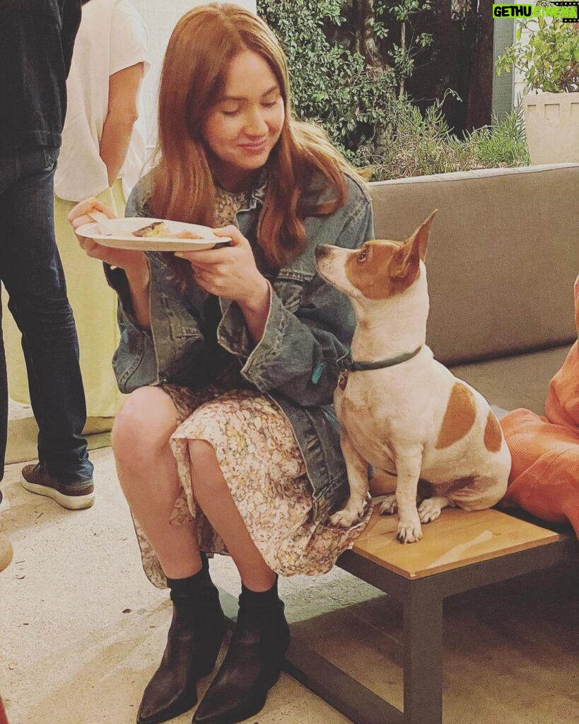 Karen Gillan Instagram - A ginger human meets a ginger dog 🐶