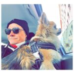 Kari Hietalahti Instagram – Stakeout something 👀 
•
#kenraalipancho #chihuahualife #cruisinginstyle #chihuahuasofinstagram #seniorchihuahua  #leejeans #asenneshades Kamppi, Helsinki