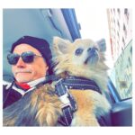 Kari Hietalahti Instagram – Stakeout something 👀 
•
#kenraalipancho #chihuahualife #cruisinginstyle #chihuahuasofinstagram #seniorchihuahua  #leejeans #asenneshades Kamppi, Helsinki