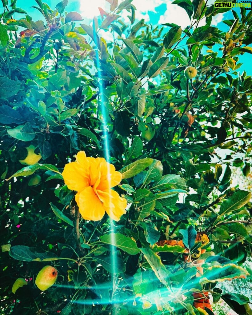 Karol Sevilla Instagram - Mini vacaciones! ✨🫶🏼👑