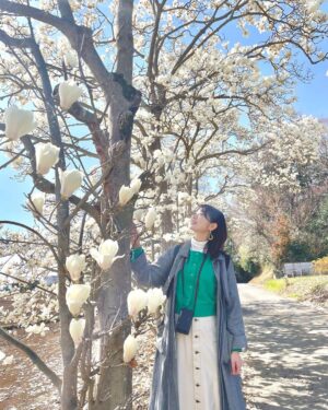 Kasumi Hasegawa Instagram - 春はワクワクする☺️🌸

いちご狩りに行った帰りに、ハクモクレンがとっても綺麗な場所に遭遇した！