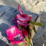 Kateřina Mlejnková Instagram – No tak Jo! 🤭 ještě tady mám hromadu krásných fotek, kterých by mi bylo líto nechat si jen pro sebe 🤗✨ ❤️s červenou jsem si ujela i na plavkách 🥵❤️ Koh Kham
