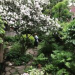 Katherine Levac Instagram - Jardin botanique chez nous grâce à @geraldbelanger 🪲 Pointe-Saint-Charles