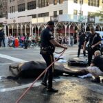 Kathy Najimy Instagram - This horse collapsed on 9th avenue from heat exhaustion.⁠ ⁠ If you love animals, please speak out against this animal cruelty in New York City. Please Join in on the fight for the end to this unbearable UNNECESSARY Cruelty. Horses chained all day, nose to butt- no grass, no turn out. Honking, sirens spooking them. We've lost three in just the past 3 months! New Yorkers and out of towners: this is best city in the world. Please take a pedi cab- peddled by willing and able humans! It's humane and cheaper! Stop the torture of horses!!! And pls support @nyclass. Ok that's it. Thank you. Now I'm going to take a short nap and dream of the day this archaic shitshow is OVER.