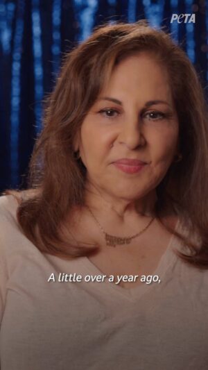 Kathy Najimy Instagram - Today I join @peta to remember Ryder the horse on the anniversary of his death 💔🐴 He was seen by millions across the world after collapsing on the street in NYC, and his heartbreaking story touched so many. We must help horses still forced to pull carriages in his memory—please take action to support Ryder’s Law! 🙏 peta.org/ryder