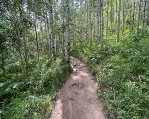 Keahu Kahuanui Instagram - One of the most beautiful backcountry areas in America (imo) and luckily one I’ve spent a lot of time exploring is in Colorado. Spring, Summer, fall or winter, 🏔️ Aspen Snowmass Wilderness 🏔️ has never disappointed and this 27 mile, 8200ft gain, high elevation trek over 3 days was no exception. I actually want to come back and try to trail run this in a day 🫠. Any takers 😅? #roamtheplanet #mountains #hikingtrails #hikingadventures #optoutside #hikingtips #ourdailyplanet #whyihike #explorecolorado #fourpassloop #exploreaspen #k2o Aspen, Colorado