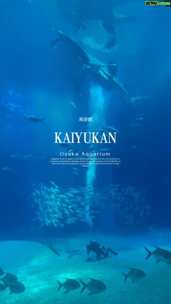 Ken Lertsittichai Instagram - KAIYUKAN : Osaka Aquarium 🐠🐟🐋 #japan #osaka #kaiyukan Kaiyukan Aquarium, Osaka Japan