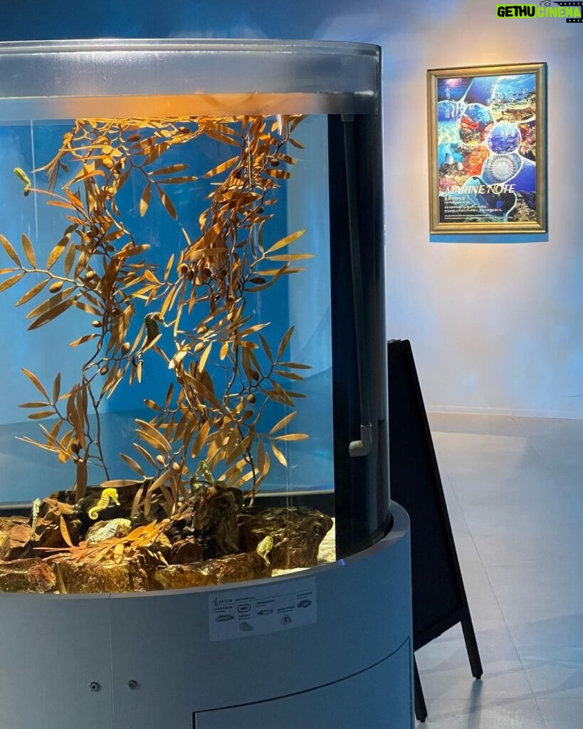 Ken Lertsittichai Instagram - ATOA : AQUARIUM X ART🐠🪼🔮 KOBE 🇯🇵 #japan #aquarium #kobe アトア atoa kobe