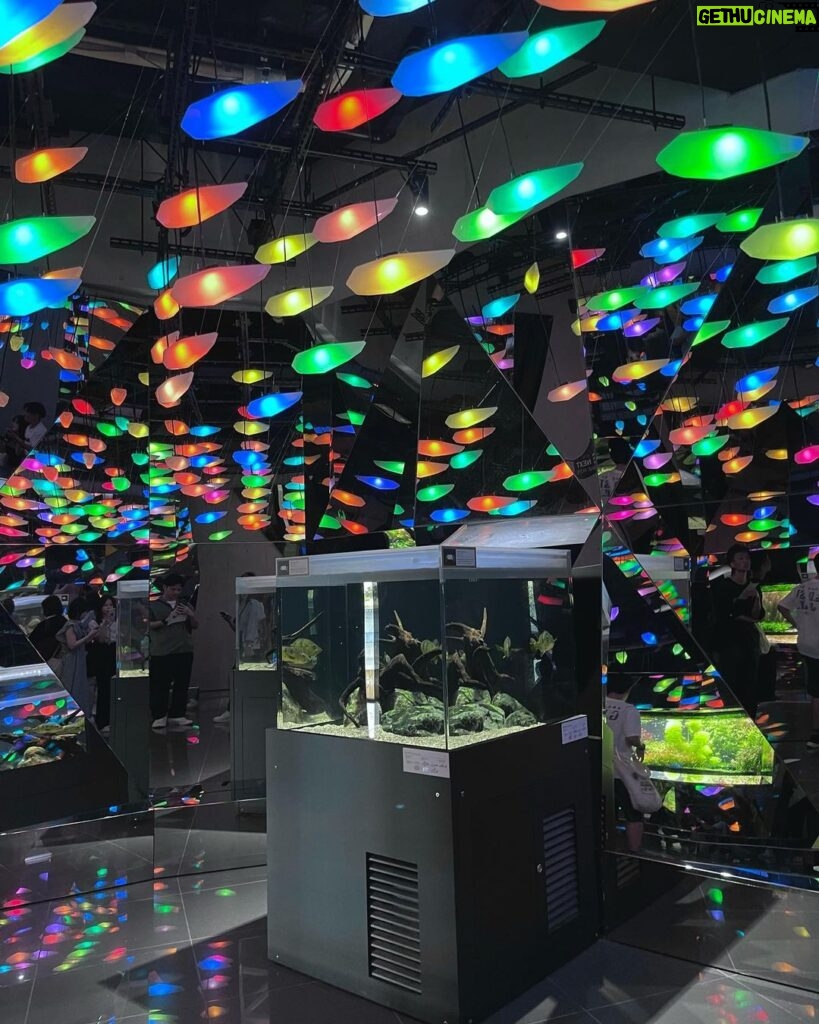 Ken Lertsittichai Instagram - ATOA : AQUARIUM X ART🐠🪼🔮 KOBE 🇯🇵 #japan #aquarium #kobe アトア atoa kobe