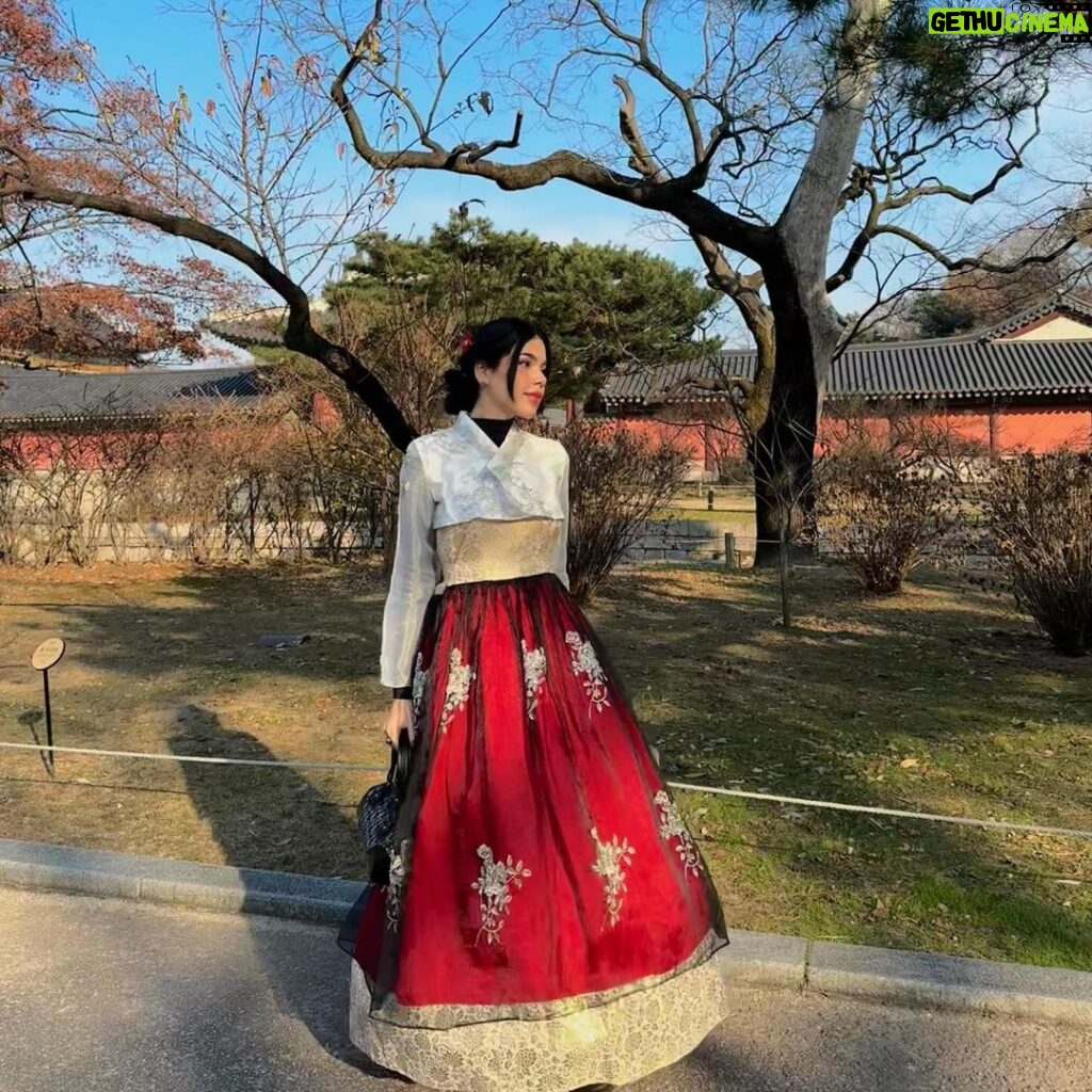 Kenia Os Instagram - Korea 🇰🇷🥢