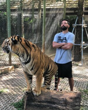 Kerem Poyraz Kayaalp Instagram - Büyük Kedilere fısıldayan adam #tbt #tiger #kerempoyrazkayaalp