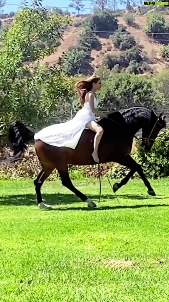Kerri Kasem Instagram - Yesterday’s photoshoot with @mattcali_photography for @era.australia was magical! ✨ Thanks @barn_mom_chronicles for letting me ride your beautiful Andalusian champion show horses! A big thank you to the whole team! @eloise.nuyda @fayeecalloway Rene Rojas @cosmo1234 Lorraine Rojas @lorlefty @sky_is_dlimit - white dress #andalusian #whitedress #horse #horsegirl #horsephotography
