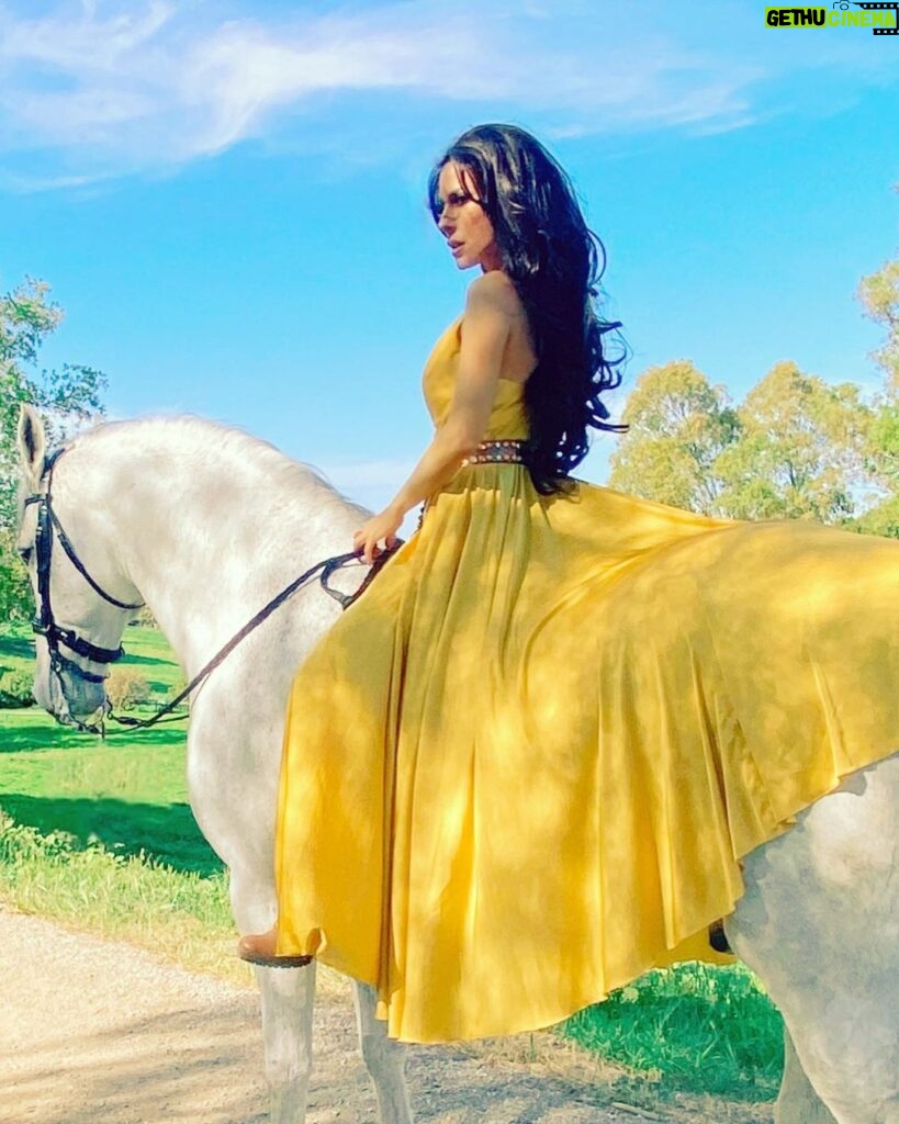 Kerri Kasem Instagram - Good Morning!!! ☀ #BTS for @fashionmagazinenyc by @arezoojalali_photography! Thank you to the team! 💛 @jbeauty_xoxo - make-up @sky_is_dlimit - stylist @pr_solo - stylehouse @friesiansm - Jardim MT Lusitano horse @carlossantosdressage - trainer Jardim MT #Lusitano #YellowDress #NewYorkFashion #goodmorning