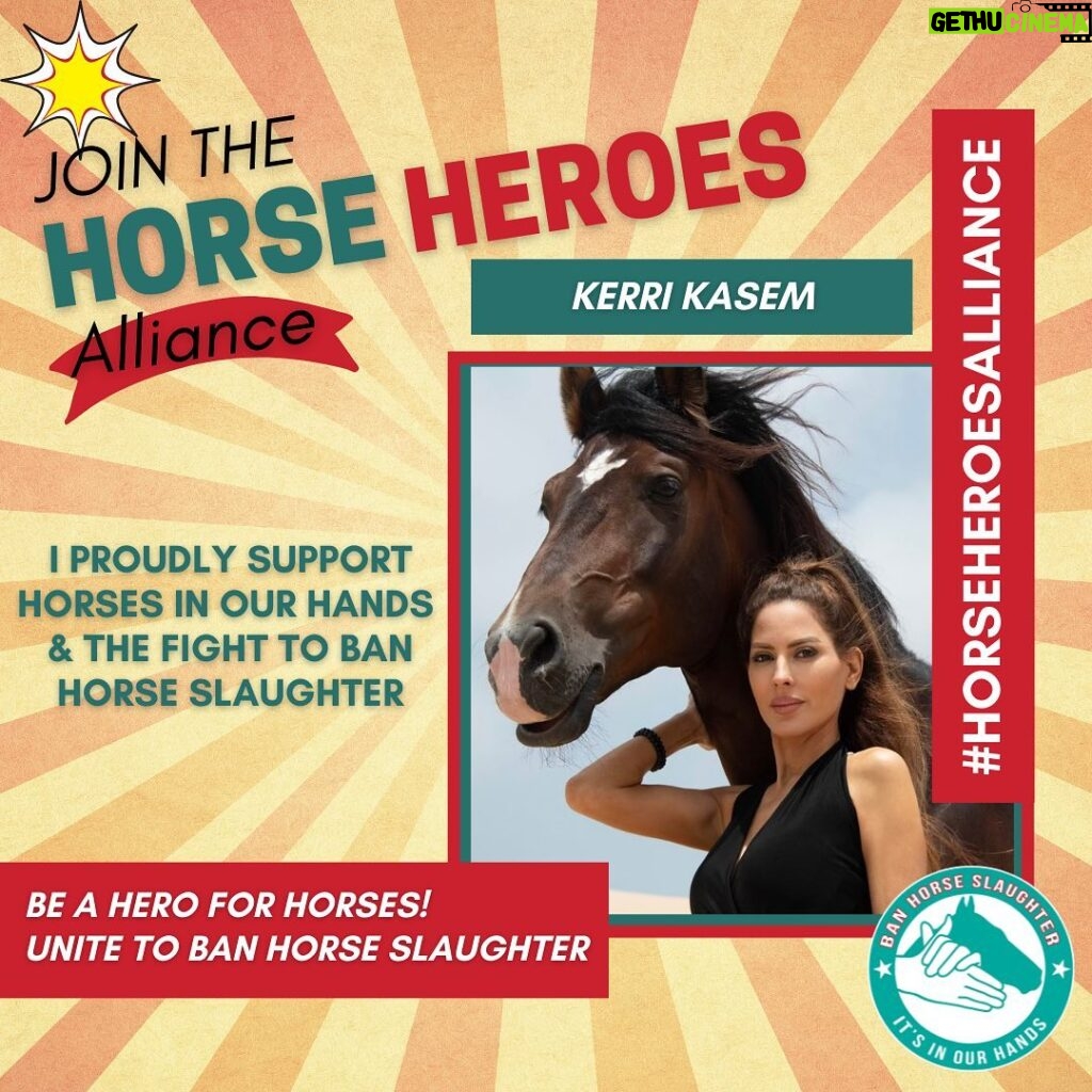 Kerri Kasem Instagram - 📣As a PROUD horse lover 💗 I am so excited to join “Horse Heroes Alliance” to support my dear friends Bek and Siri and @horsesinourhands movement towards passing the SAFE Act to end horse slaughter NOW‼ Please ⚠TAKE ACTION⚠ ✅ Click link 🔗 in bio @horsesinourhands.   It takes less than 30 seconds to send an email asking your committee members to CO SPONSOR The SAFE Act now! ✅Call your Legislators: 202 224 3121. Ask to be connected to your Representatives and BOTH Senators and demand they pass the SAFE Act. The time is NOW ⌛with the House Committee hearing this week Thursday May 26th. We need YOU now more than ever! 🙌🏻🐴 ➡ Please join me and our fellow horse lovers, rescuers, and advocates in our final push to get this bill across the finish line! 🏁 ✅Click link in bio @horsesinourhands Love and gratitude Kerri Kasem 💗🙏 #horseheroesalliance #horserescuer #yes2safe #banhorseslaughter #horsesinourhands Washington D.C.