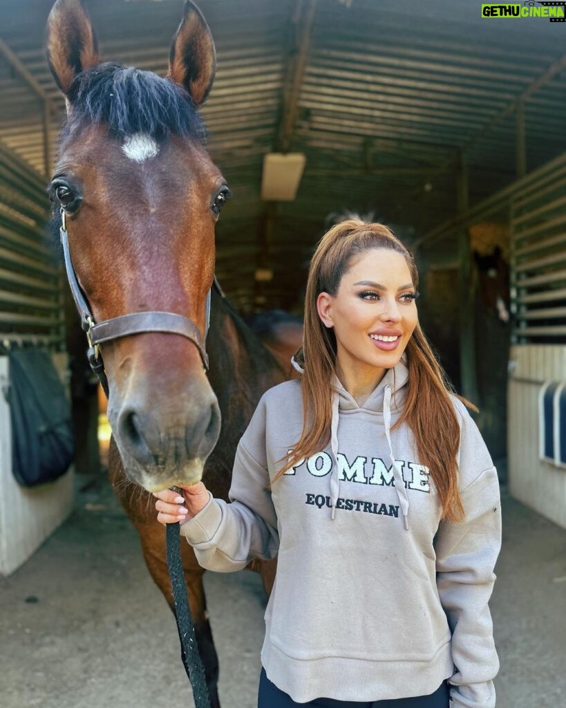 Kerri Kasem Instagram - ☀ Mornings at the Barn ☀ Wearing my favorite @wearepomme pullover with one of my favorite horses, Robbie! Thanks again @desi_de_rata_22 🐴♥ @ashba 📸 #Barn #PullOver #horseclothes