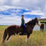 Kerri Kasem Instagram - Riding in Portugal has been amazing!!! Here we are riding through @torredepalma… I’m on a Clydesdale named Ozzy! 🐴♥️ Thank you @my_cavago! 💛 @aida_cavago @an4am @tauseefq #portugal #horses #clydesdale #Vineyard
