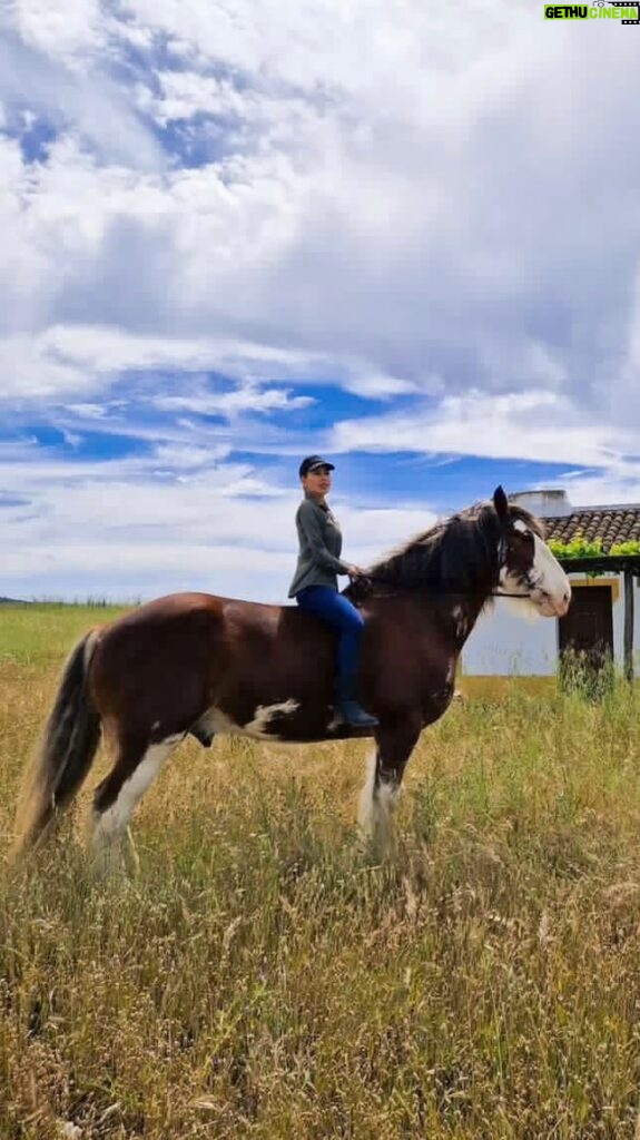 Kerri Kasem Instagram - Riding in Portugal has been amazing!!! Here we are riding through @torredepalma… I’m on a Clydesdale named Ozzy! 🐴♥ Thank you @my_cavago! 💛 @aida_cavago @an4am @tauseefq #portugal #horses #clydesdale #Vineyard