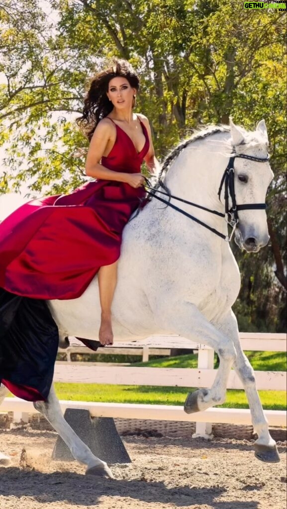 Kerri Kasem Instagram - Behind the scenes of one of my most favorite photo shoots! @arezoojalali_photography nailed it for @stylecruze magazine! Thank you @my_cavago ❤ TY @itswillfranco - red dress @makeupnadiya.ca - makeup @friesiansm - Lusitano Jardim MT @simonesairbrushtanning #WhiteHorses #RedDress #HorsesOfInstagram #Viral #lusitano