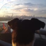 Kerry Condon Instagram - Last evening in New York