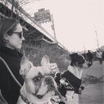 Kerry Condon Instagram - Dog day afternoon #dogsitting