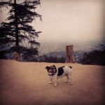 Kerry Condon Instagram -