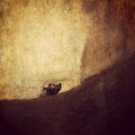 Kerry Condon Instagram -