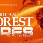 Kevin Ryan Instagram - My bestie @gingermattstacey put his heart and soul into such an important and misunderstood topic. #americanforestfires premieres today on @skytv #skytv @earthxtv #earthxtv Congratulations to all involved and wishing you all the success to come from your hard graft.