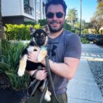 Kevin Ryan Instagram - Introducing ALI to the world:) She is nearly 11 weeks young & proudly I say… my new puppy!! Copper had an incredible journey and here’s to Ali & what’s ahead! I rescued her from @westsidegsr an organization I have supported for many years. Thank you to the incredibly kind & generous staff for taking care of Ali & for all their hard work on the daily, you guys are hero’s! #puppy #germanshepherd #gsd #gsdofig #gs #delighted Los Angeles, California