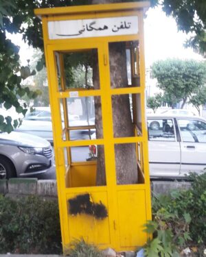 Khosrow Ahmadi Instagram - دوستان عزیز کی دوزاری داره
میخوام به گذشته زنگ بزنم.
خیلی دلم گرفته.
این درخته م جاه خشک کرده
بیرون نمیاد.