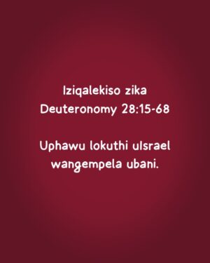 Khulu M. Skenjana Instagram - 💡