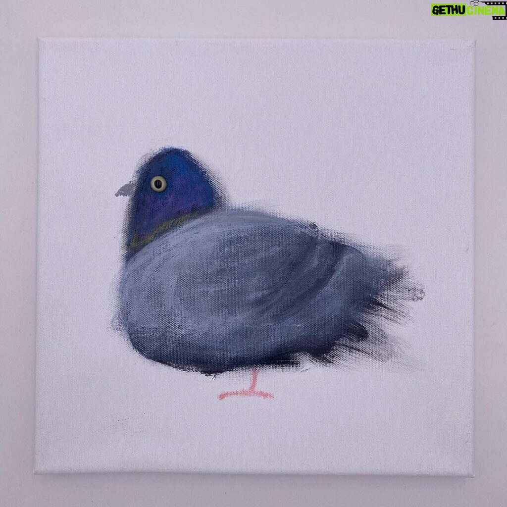 Kid Koala Instagram - Original Painting: Pigeon Windowsill 228 is now at the shop! kidkoala.com/product/original-painting-pigeon-windowsill-apt-228/