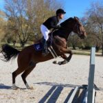 Kike Sarasola Instagram - Después de 14 años sin montar a caballo me han convencido para volver a saltar. Competiré en el Campeonato de Veteranos del @realclubpineda en Sevilla. ¡Qué emocionante volver a recordar esta etapa de mi vida! 🐎🧡 // After 14 years without riding a horse I have been convinced to compete again at the Spanish Championship for veterans at the Club Pineda in Seville. Incredibly excited to remember those moments of competing and riding. 🐎🧡 #hípica #deporte #horseriding #sport Toledo, Spain