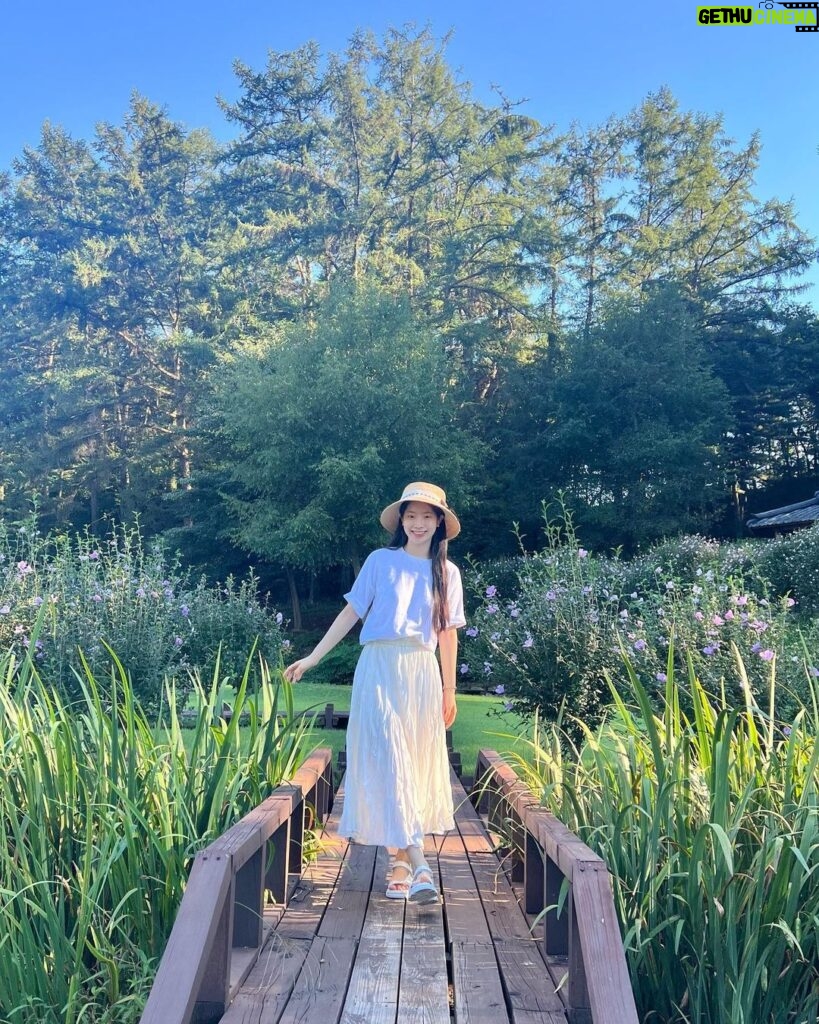 Kim Da-hyun Instagram - 무궁화 꽃이 피었습니다🌸