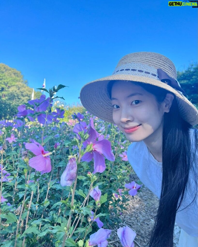Kim Da-hyun Instagram - 무궁화 꽃이 피었습니다🌸