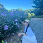 Kim Da-hyun Instagram – 무궁화 꽃이 피었습니다🌸