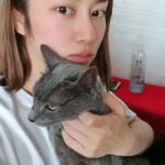 Kim Hee-chul Instagram - 15살 희범이🐱🐈💛 . . #희범 #Heebum #러시안블루 #RussianBlue