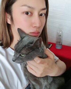 Kim Hee-chul Instagram - 15살 희범이🐱🐈💛
.
.
#희범 #Heebum #러시안블루 #RussianBlue
