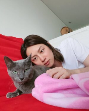 Kim Hee-chul Instagram - 15살 희범이🐱🐈💛
.
.
#희범 #Heebum #러시안블루 #RussianBlue